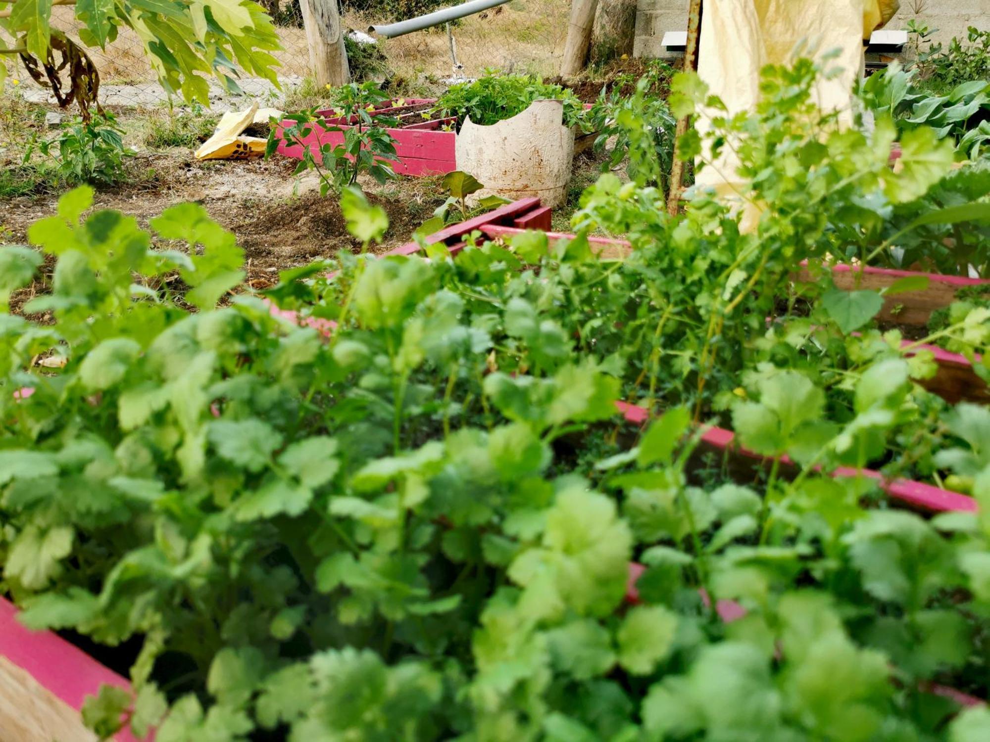 Panoramic Paradise La Ferme 外观 照片