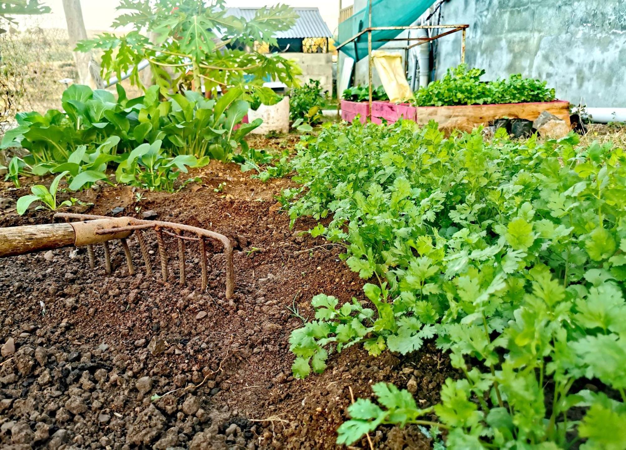 Panoramic Paradise La Ferme 外观 照片